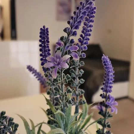 Hideaway Σεντ Πόλς Μπέι